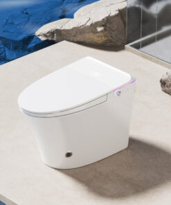 Bệt thông minh liền khối Washuto BV9