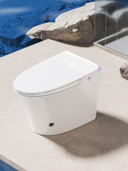 Bệt thông minh liền khối Washuto BV9