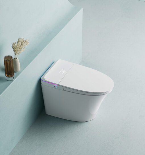 Bệt thông minh liền khối Washuto BV9