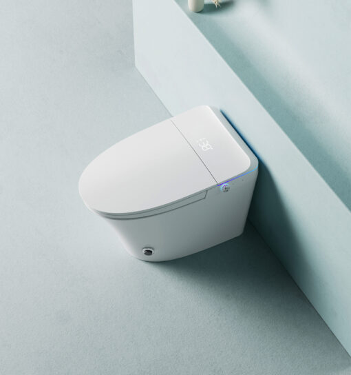 Bệt thông minh liền khối Washuto BV9
